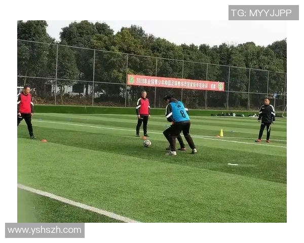 学霸与足球的完美结合在校园中谱写青春的热血传奇